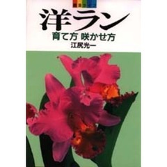 洋ラン育て方咲かせ方