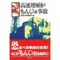 高速増殖炉もんじゅ事故