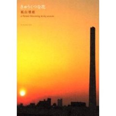 きゅうくつな花　Ａ　ｆｌｏｗｅｒ　ｂｌｏｏｍｉｎｇ　ｉｎ　ｍｙ　ｓｅａｓｏｎ