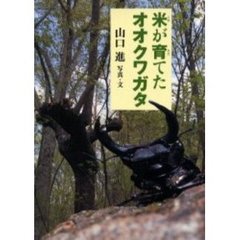 米が育てたオオクワガタ