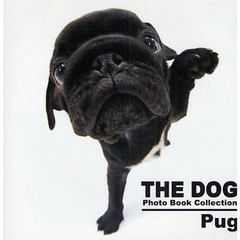 ＴＨＥ　ＤＯＧ　Ｐｈｏｔｏ　Ｂｏｏｋ　Ｃｏｌｌｅｃｔｉｏｎ　Ｐｕｇ