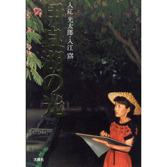 伊良湖の光