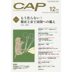 ＣＡＰ　３０６