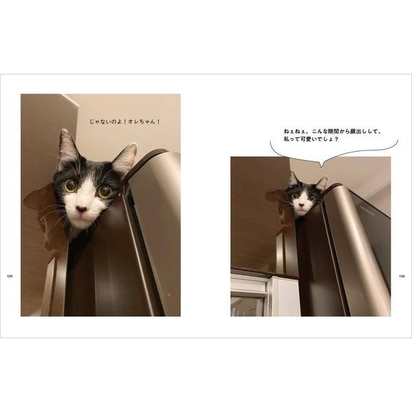 マルとオレオと藤あや子 保護猫「マルオレ」に癒される！！ 通販