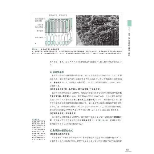 口腔解剖学・口腔組織発生学・口腔生理学 歯・口腔の構造と機能 通販