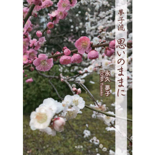 ֥ͥåȥåԥ󥰤㤨̴ήפΤޤޤˡפβǤʤ550ߤˤʤޤ