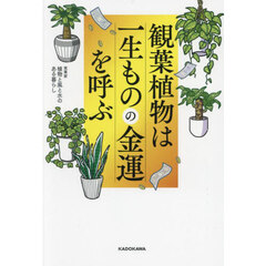 観葉植物は一生ものの金運を呼ぶ
