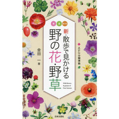 新・散歩で見かける野の花・野草　春　夏　秋・冬