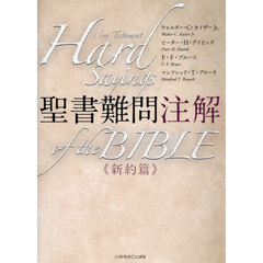聖書難問注解　新約篇