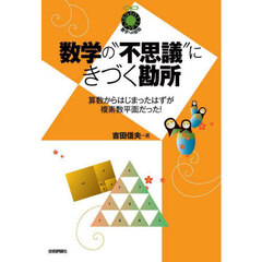 数学の“不思議”にきづく勘所　算数からはじまったはずが複素数平面だった！