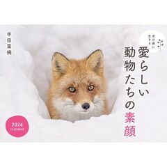 北の森に生きる愛らしい動物たちの素顔カレンダー 2026