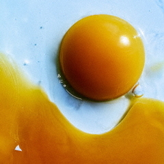 RADWIMPS／あにゅー（通常盤／CD）