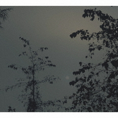 Beside　the　Moon