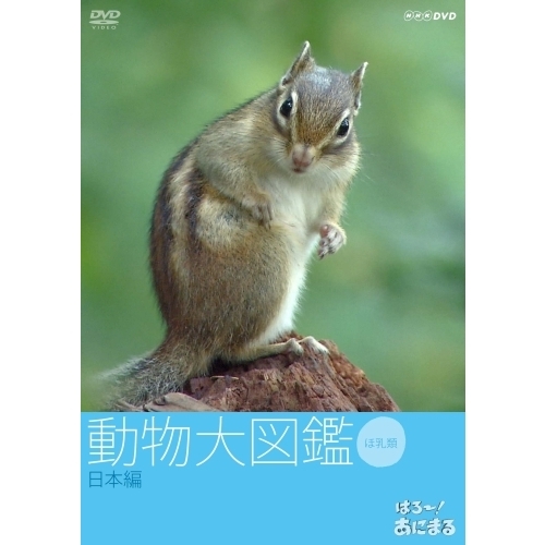 はろ～あにまる！動物大図鑑 2 日本編（ＤＶＤ） 通販｜セブンネット