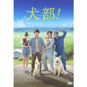 犬部！ DVD 通常版（ＤＶＤ） 通販｜セブンネットショッピング