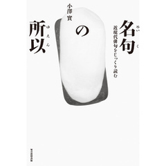 名句の所以 近現代俳句をじっくり読む　澤俳句叢書第二十四篇