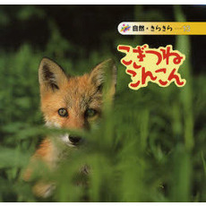 こぎつねこんこん