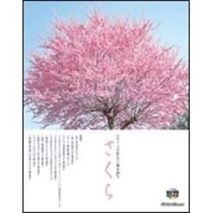 さくら