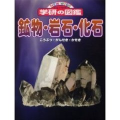 鉱物・岩石・化石