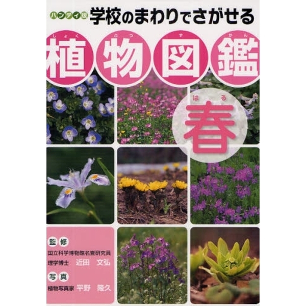 春　学校のまわりでさがせる植物図鑑　ハンディ版　通販｜セブンネットショッピング