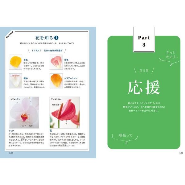 最新花屋さんの花図鑑―買いたい花の名前がわかる! (主婦の友
