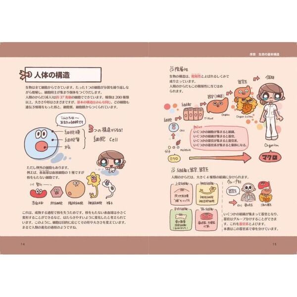 からだずかん ゆるっとポップな解剖生理学 通販｜セブンネットショッピング