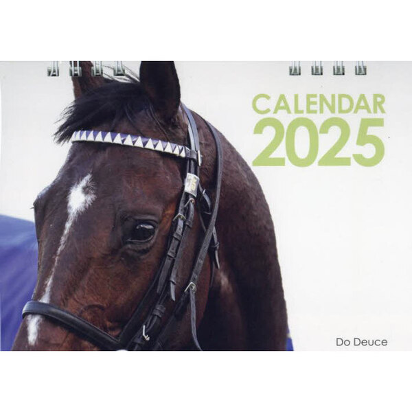 25週刊Gallop競馬卓上カレンダー 通販｜セブンネット