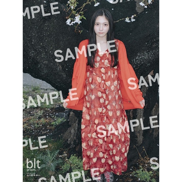 蓬莱舞　等身大ポスター 2025年最新】蓬莱舞ポスターの人気アイテム - メルカリ