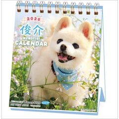 俊介 週めくりミニ　2026年カレンダー