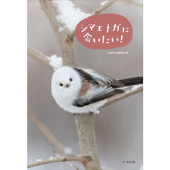 シマエナガに会いたい！