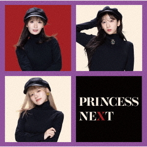 ֥ͥåȥåԥ󥰤㤨PrincessNextPrincessNext̾BCDˡפβǤʤ1,500ߤˤʤޤ