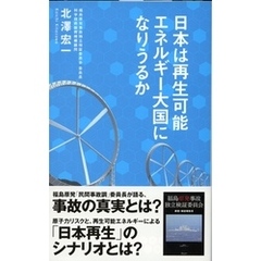 日本は再生可能エネルギー大国になりうるか