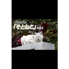 菊池茂夫の「そとねこ」vol.1