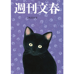 週刊文春 2025年5月22日号